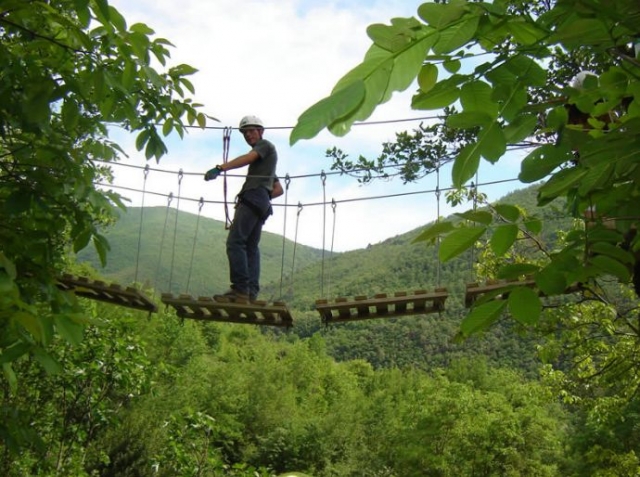  A mitad del camino ya recorrido 